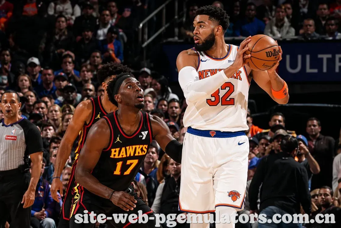 NBA季后赛精彩回顾